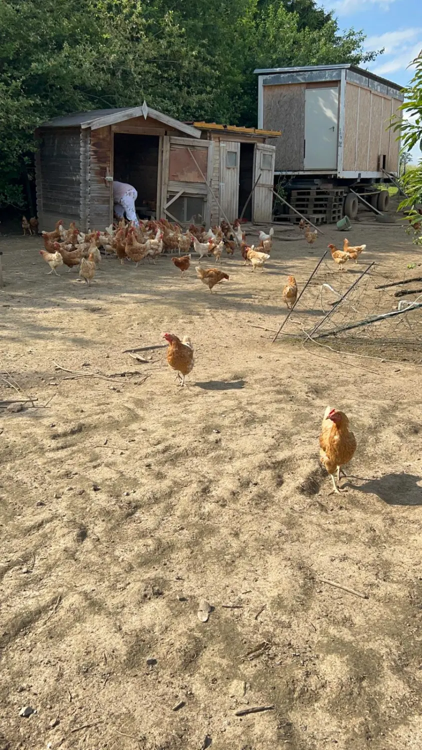 Tierhof von Hasenhündl GbR