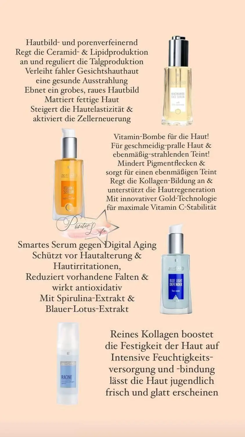 Produktinformationen von Andrea Hasenhündl 
