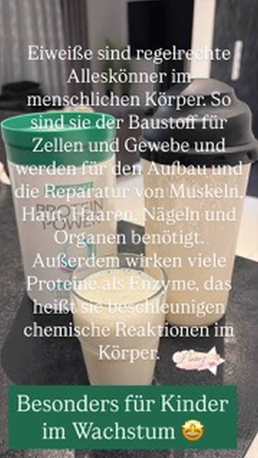 Banner von Hasenhündl GbR